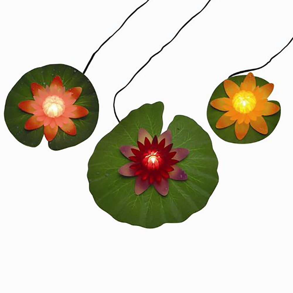 Water-Lily Seerose 5er