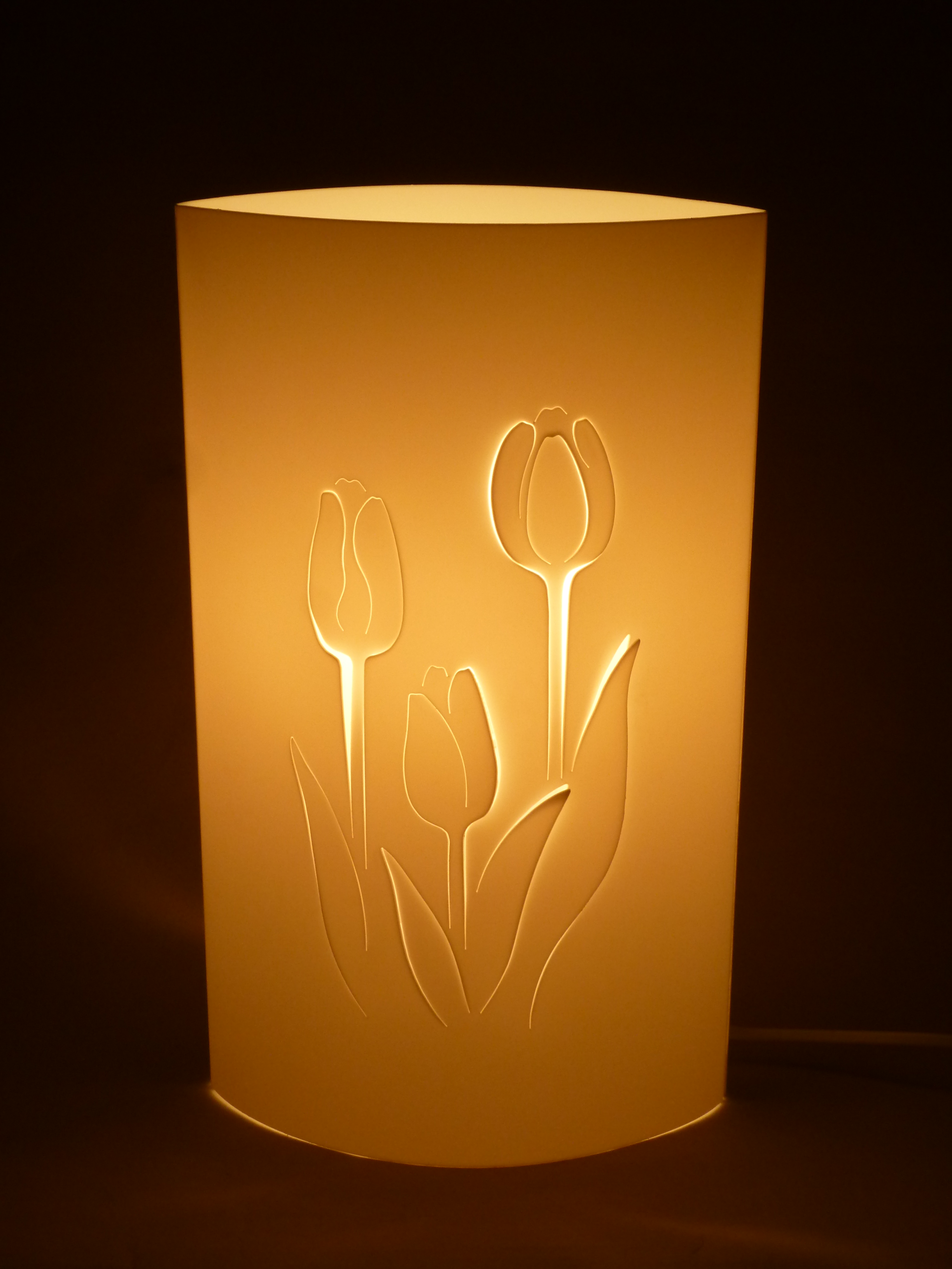 T991293W Tila Tulpe